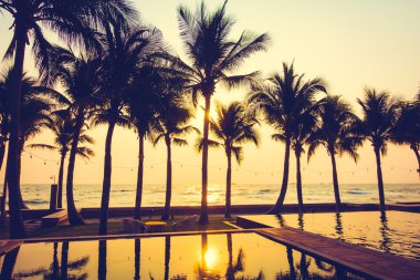 Gün batımı ile palmiye ağaçlarının Silhouettes