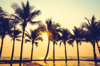 Gün batımı ile palmiye ağaçlarının Silhouettes