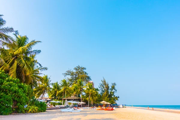 Bella palma sulla spiaggia — Foto Stock