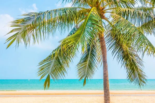 美丽的棕榈树在沙滩上 — 图库照片