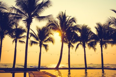 Gün batımı ile palmiye ağaçlarının Silhouettes