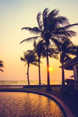 Gün batımı ile palmiye ağaçlarının Silhouettes