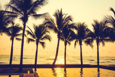 Gün batımı ile palmiye ağaçlarının Silhouettes