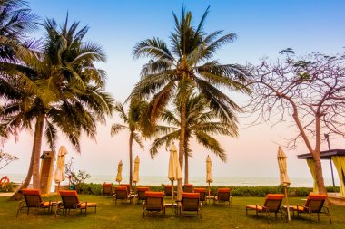 Boş şemsiye ve plaj sandalye