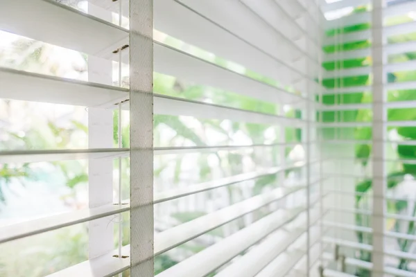 Rollläden Fensterdekoration im Wohnzimmer — Stockfoto