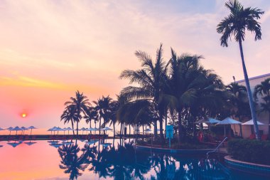 Ve Yüzme Havuzu palmiye ağaçlarının Silhouettes