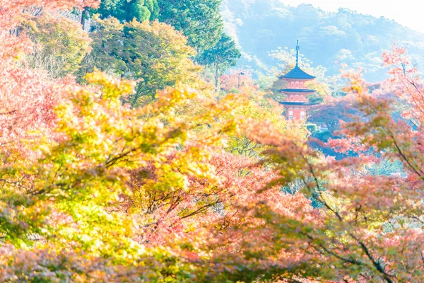 在日本京都清水寺防务研究局 — 图库照片