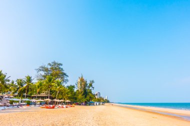 Sahilde güzel palmiye ağacı