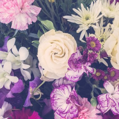 güzel çiçek arka plan