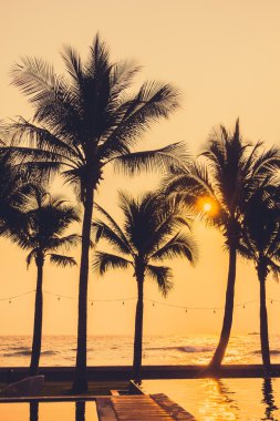 Gün batımı ile palmiye ağaçlarının Silhouettes