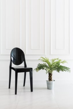 Vazo bitki ile boş sandalye