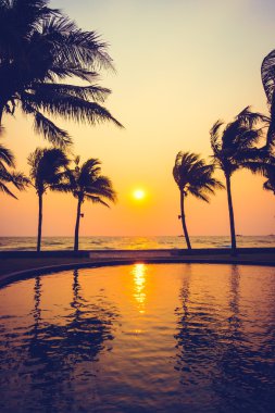 Gün batımı ile palmiye ağaçlarının Silhouettes