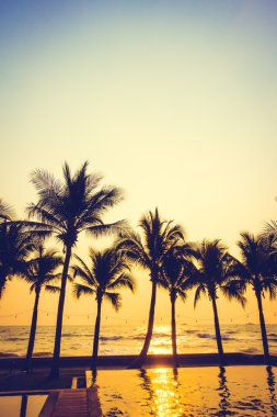 Gün batımı ile palmiye ağaçlarının Silhouettes