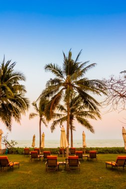 Boş şemsiye ve plaj sandalye