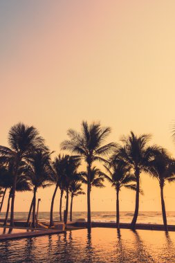 Gün batımı ile palmiye ağaçlarının Silhouettes