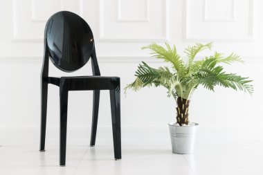 Vazo bitki ile boş sandalye