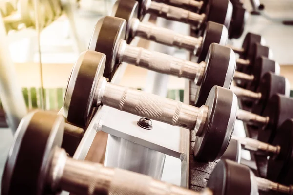 Halter apparatuur in de fitnessruimte van de sportschool — Stockfoto