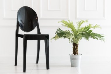 Vazo bitki ile boş sandalye