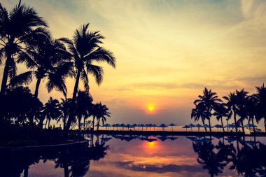 Ve Yüzme Havuzu palmiye ağaçlarının Silhouettes