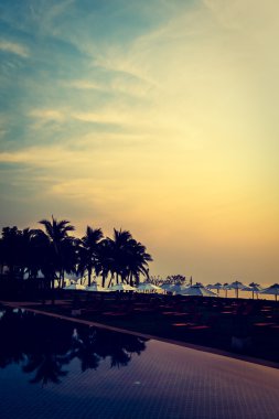 Ve Yüzme Havuzu palmiye ağaçlarının Silhouettes