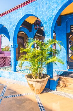 Vazo bitki dekorasyon dış cephe