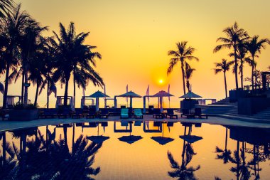 Güzel siluet palmiye ağacı