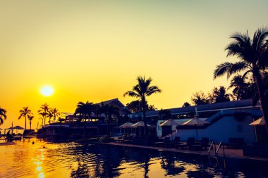 Güzel siluet palmiye ağacı