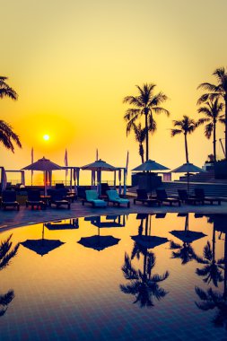 Güzel siluet palmiye ağacı