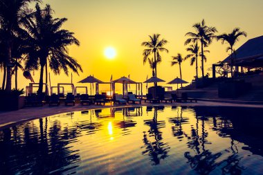 Güzel siluet palmiye ağacı