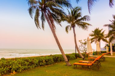 Boş şemsiyeleri ve sandalyeler, Twilight zamanlarda