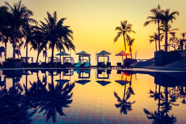 Güzel siluet palmiye ağacı