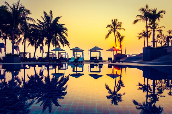 Güzel siluet palmiye ağacı