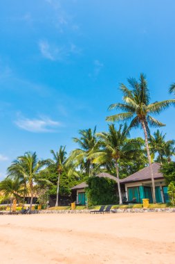 Güzel plaj ve palmiye ağaçları ile