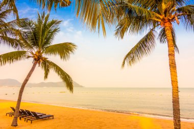 Güzel plaj ve palmiye ağaçları ile