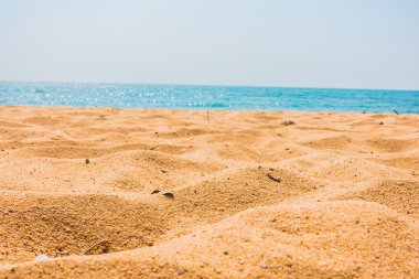 Güzel sahil ve deniz