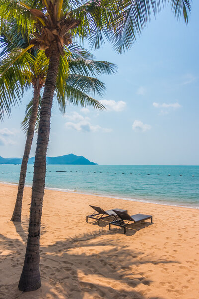 Beautiful beach and sea with palm trees