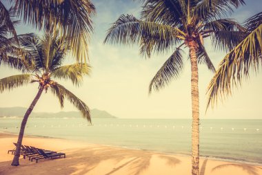 Güzel plaj ve palmiye ağaçları ile