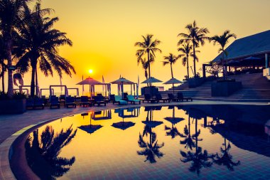 Güzel siluet palmiye ağacı