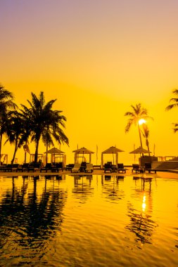 Güzel siluet palmiye ağacı