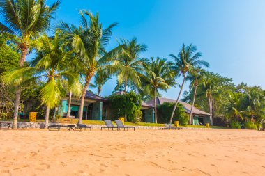 Güzel plaj ve palmiye ağaçları ile