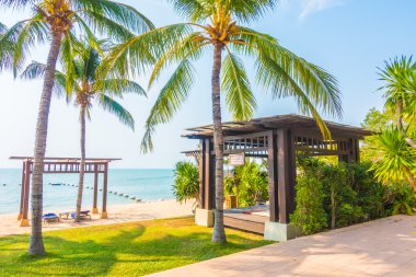 Güzel plaj ve palmiye ağaçları ile