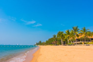 Güzel plaj ve palmiye ağaçları ile
