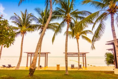 Güzel plaj ve palmiye ağaçları ile