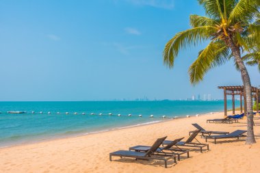 Güzel plaj ve palmiye ağaçları ile
