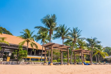 Güzel plaj ve palmiye ağaçları ile