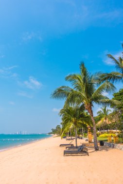 Güzel plaj ve palmiye ağaçları ile