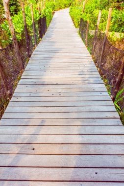 Yürüyüş için ahşap yolu