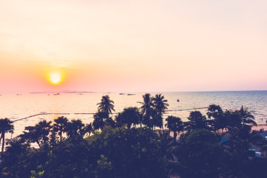 ve palmiye ağaçlarının Silhouettes