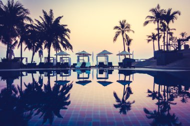 Güzel siluet palmiye ağacı