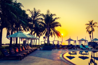 Güzel siluet palmiye ağacı